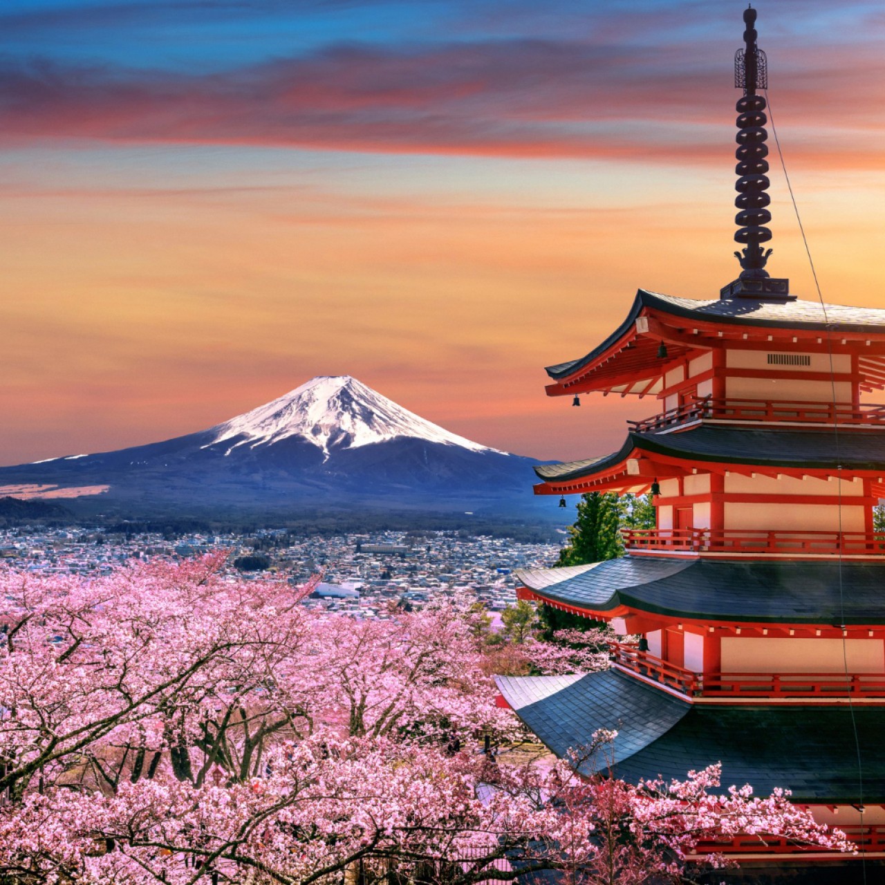 Japan Tour - Osaka & Tokyo Image